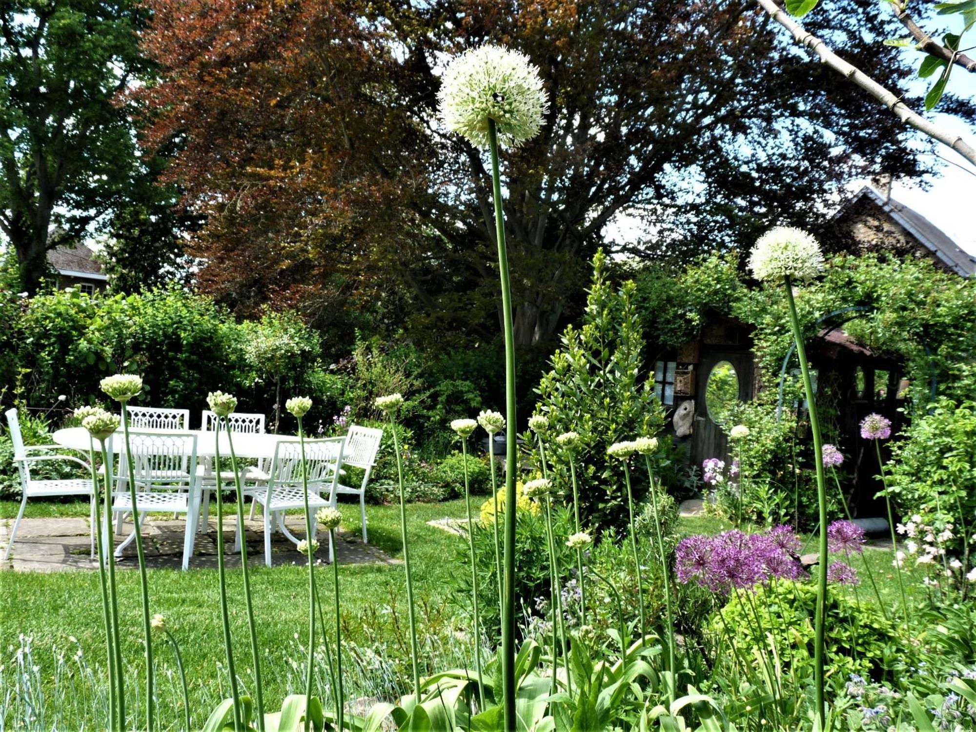 Bed and Breakfast Le Jardin Des Miroirs Esneux Zewnętrze zdjęcie