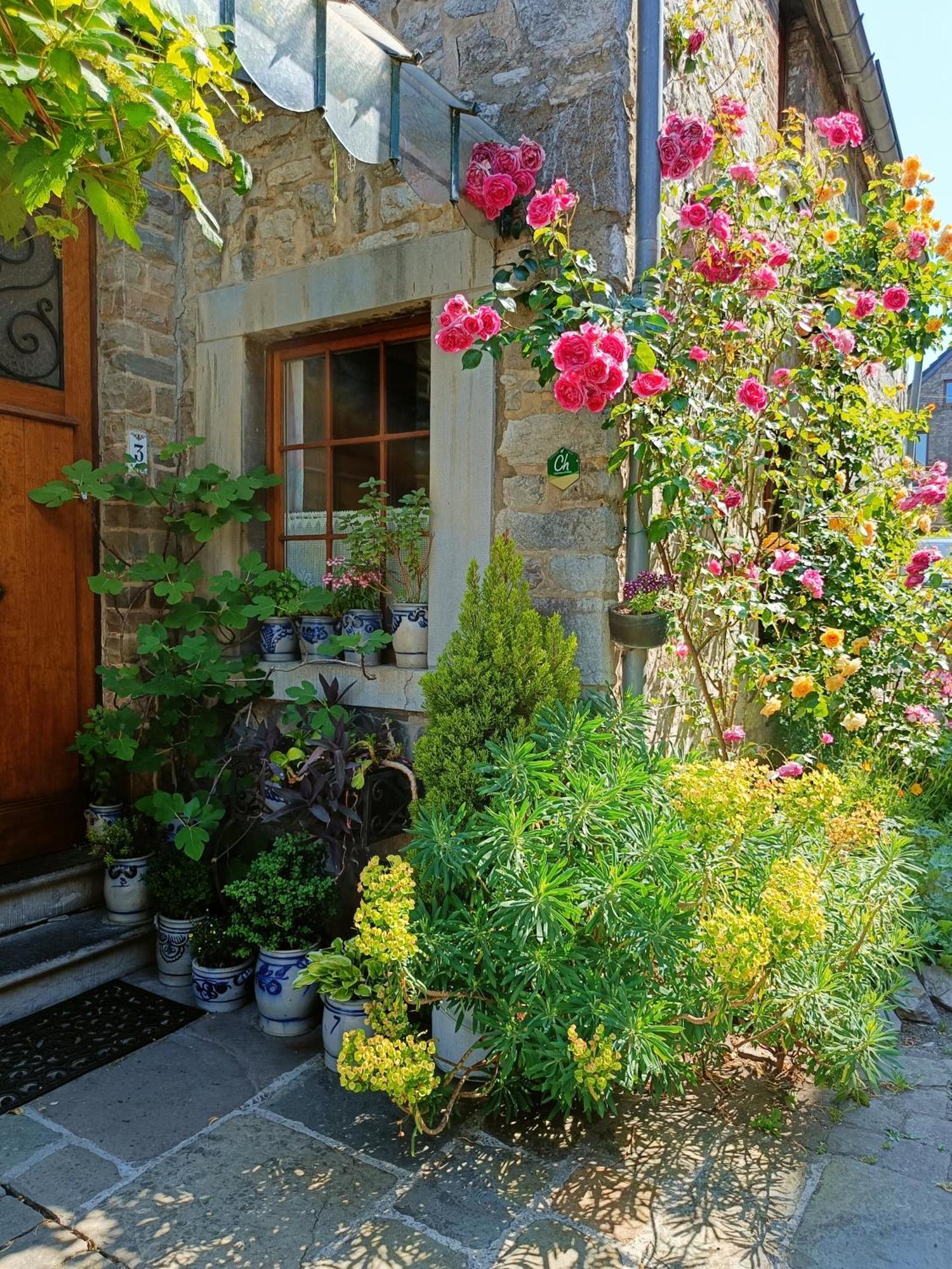 Bed and Breakfast Le Jardin Des Miroirs Esneux Zewnętrze zdjęcie
